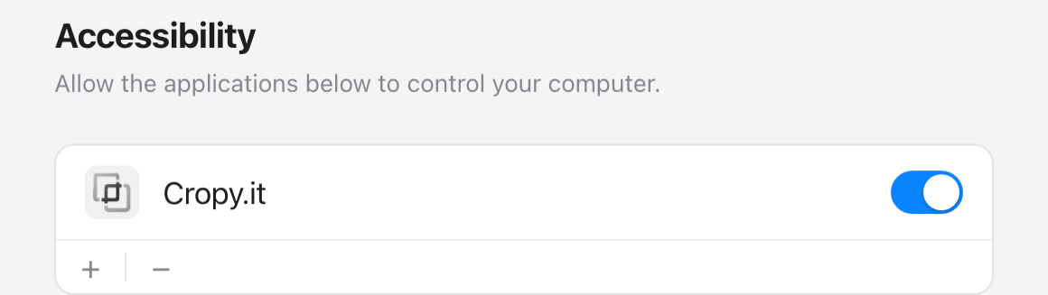 Accessibility settings — enable the switch next to Cropy.it