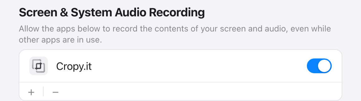 Screen Recording settings — enable the switch next to Cropy.it